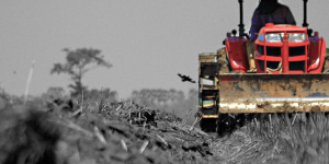 Digital Sharecropper